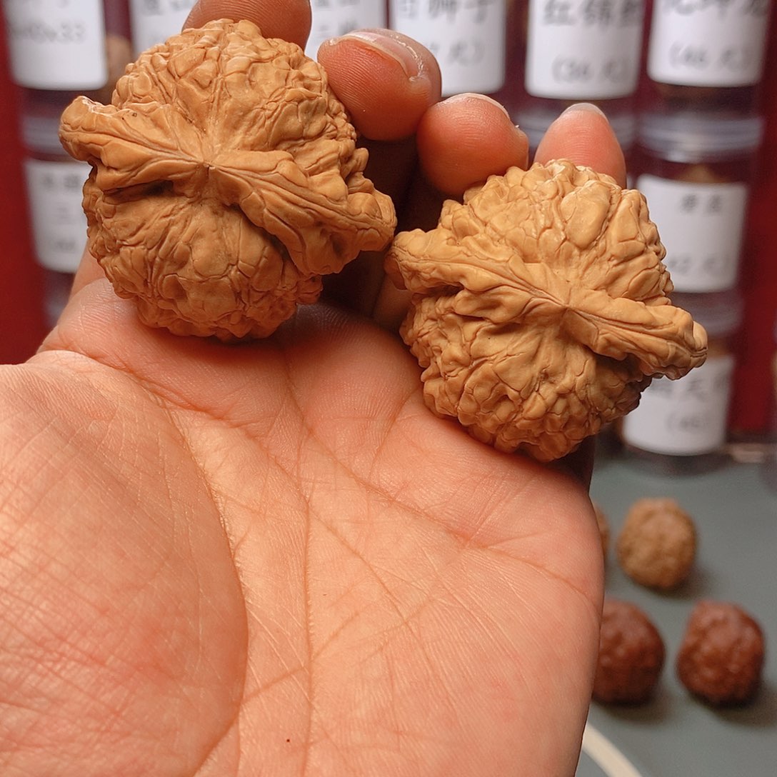 核桃把件50尺寸全品龙鼎文玩核桃