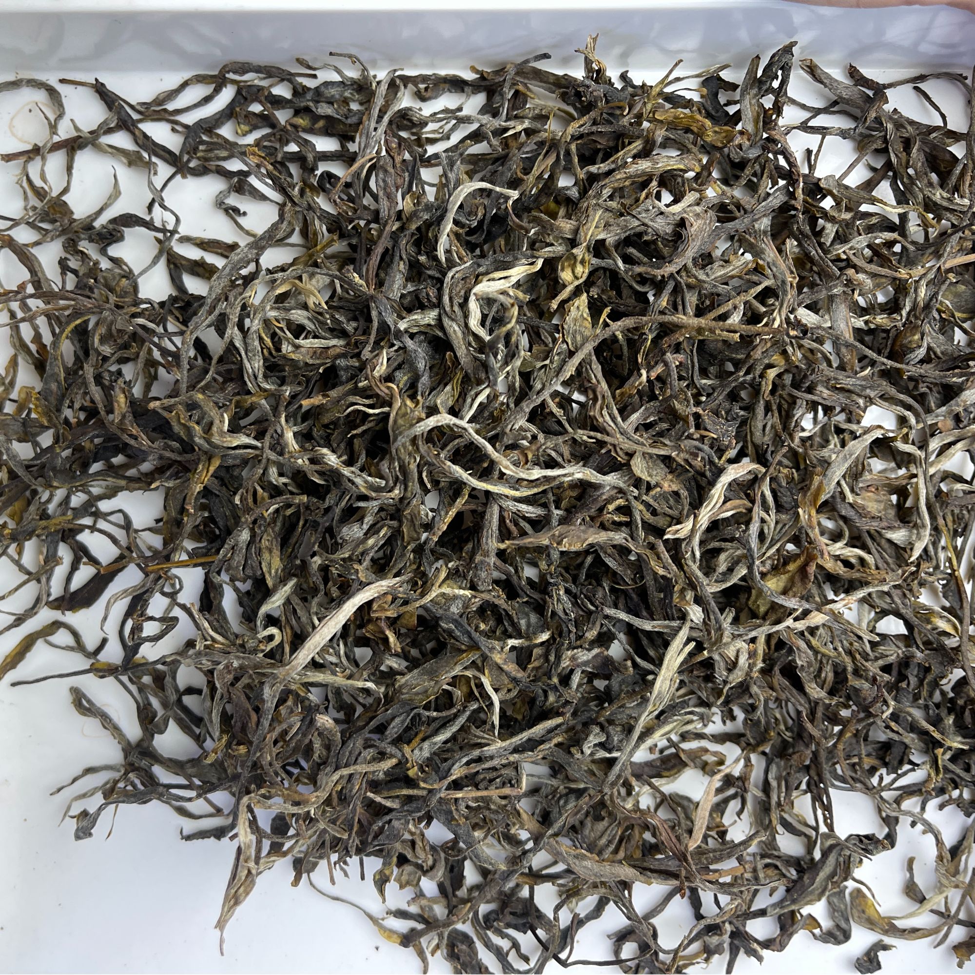 7月6日 25年小坝古树普洱茶 生茶散茶 A016号