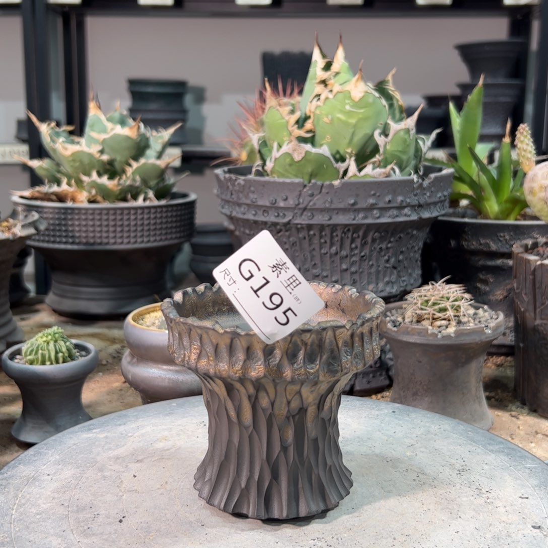 景德镇手工素里内口9.5高10