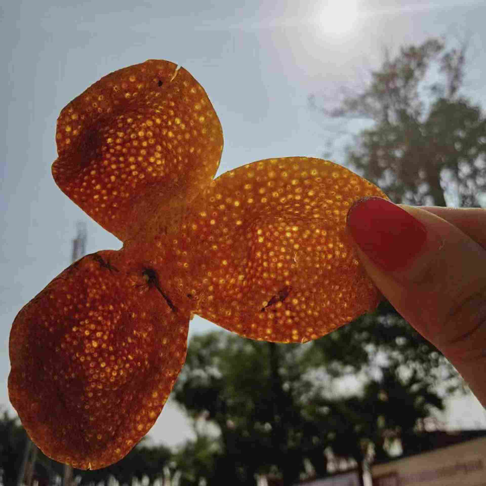 2023新皮【杰选陈皮】红皮 有整有断 简装 250g 拍一发三