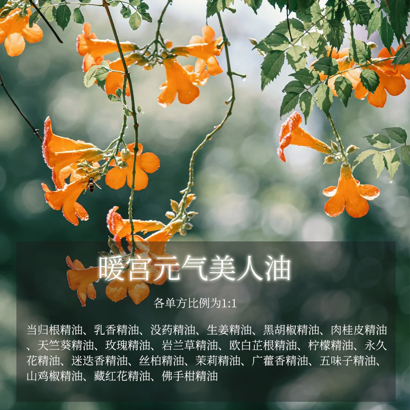 500ml暖宫元气美人油合方