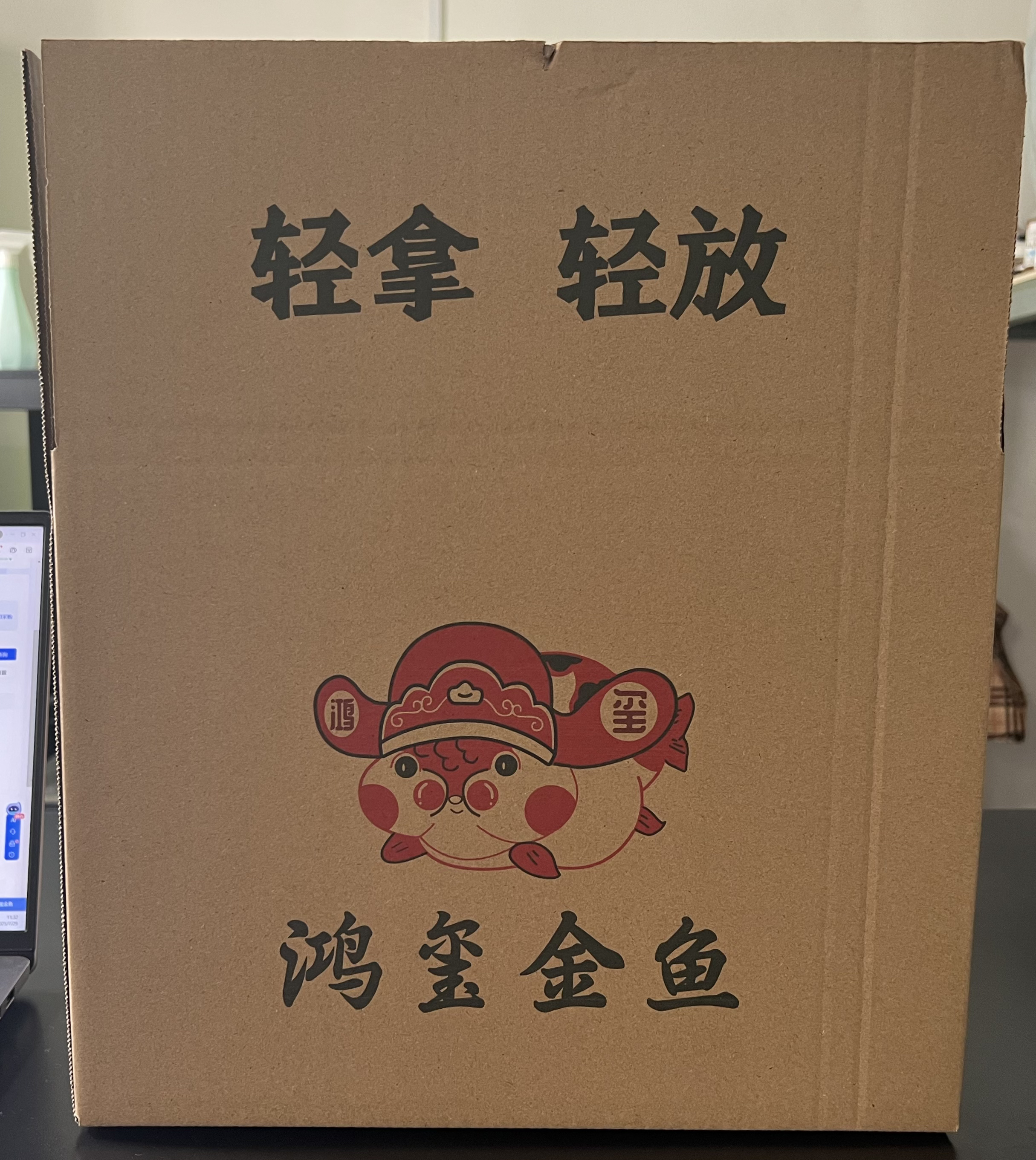 顺丰陆运发货箱保护金鱼安全到家（运费补差）养殖运输