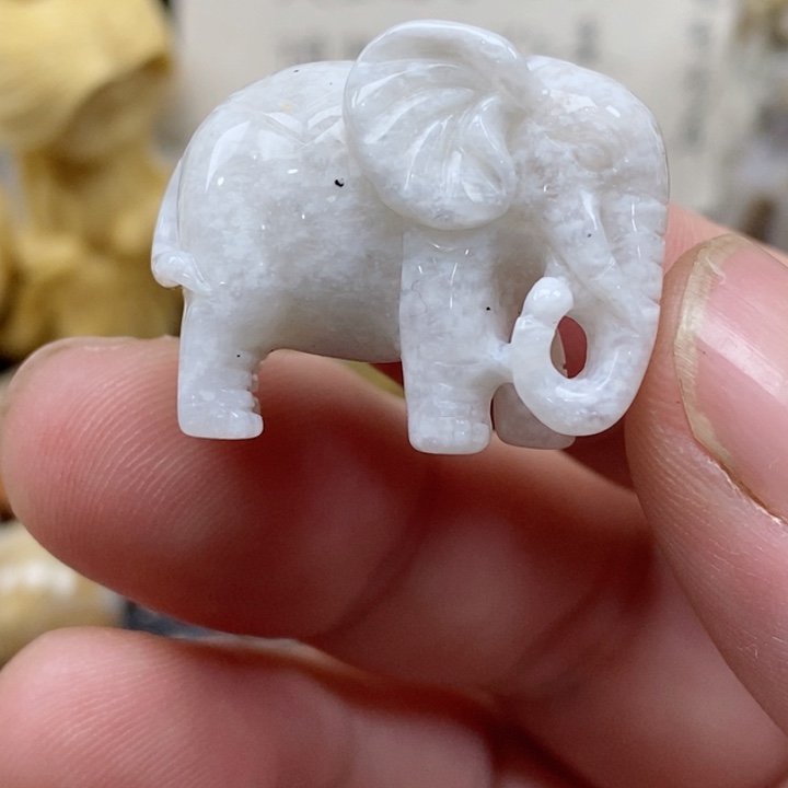 颈饰未镶嵌硅化珊瑚（珊瑚玉）