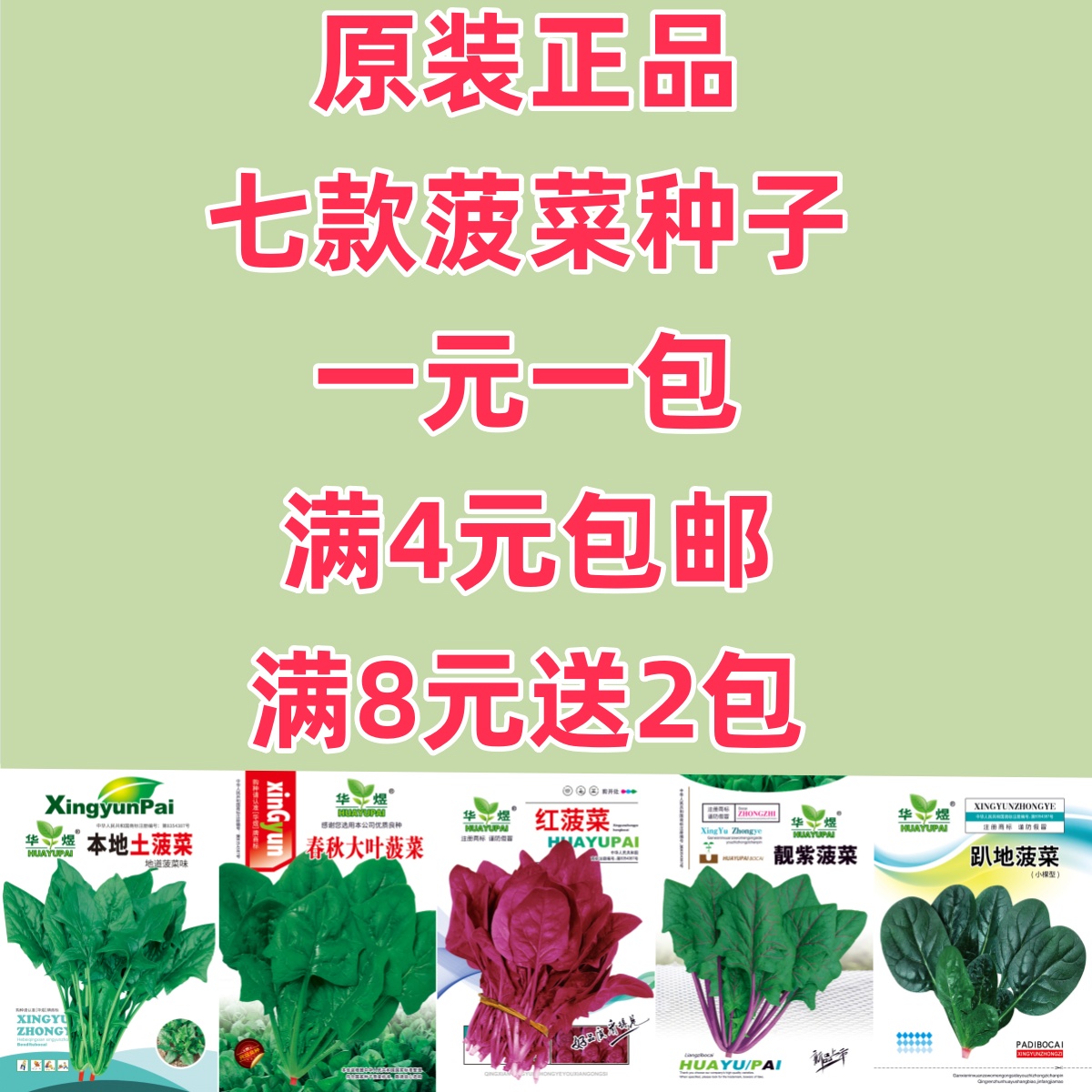 【满4元包邮】趴地黑叶红叶大叶菠菜种子四季易种生长速度快耐寒