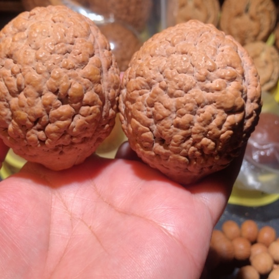 文玩核桃把件明*医练手金刚菩提