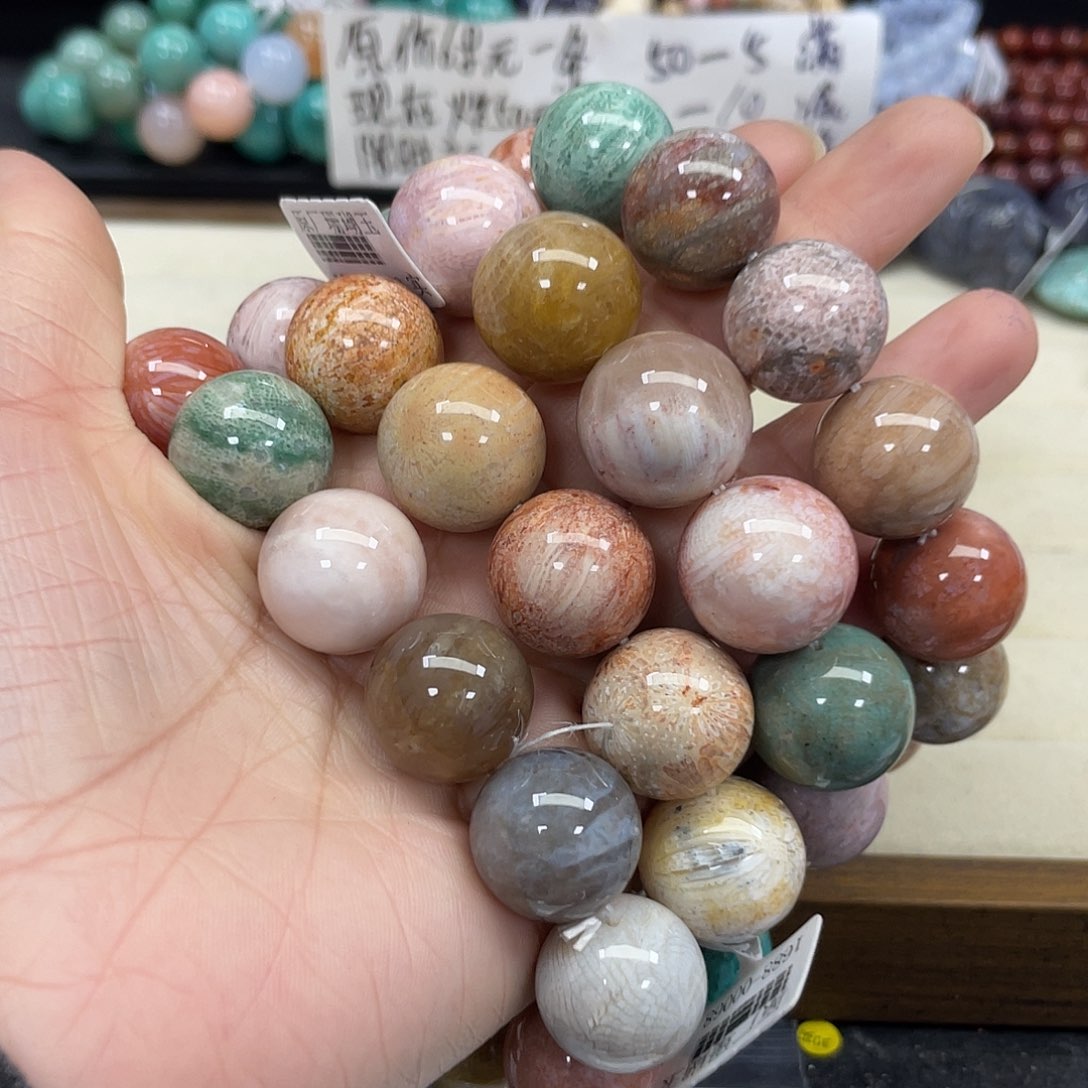 未镶嵌手串硅化珊瑚（珊瑚玉）小**学292