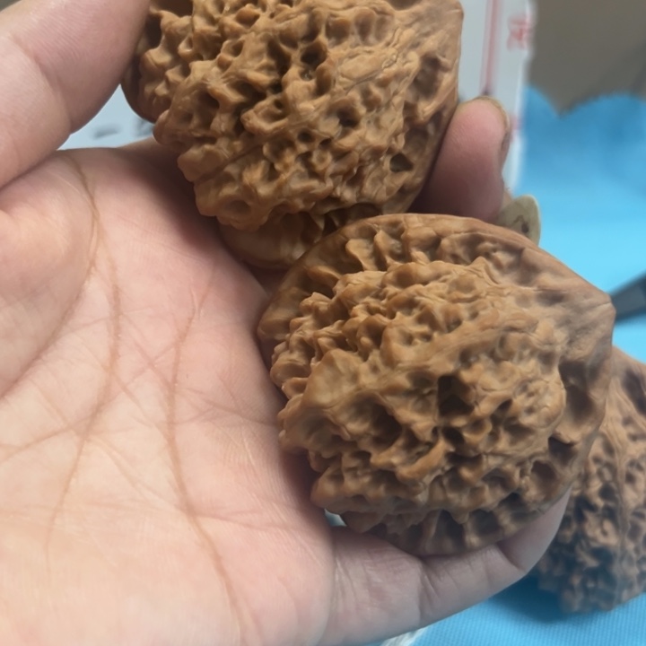 核桃大官帽开播福利
