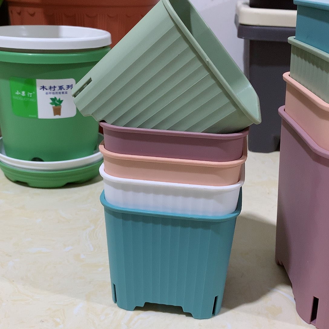 树脂多肉10混色10个无托