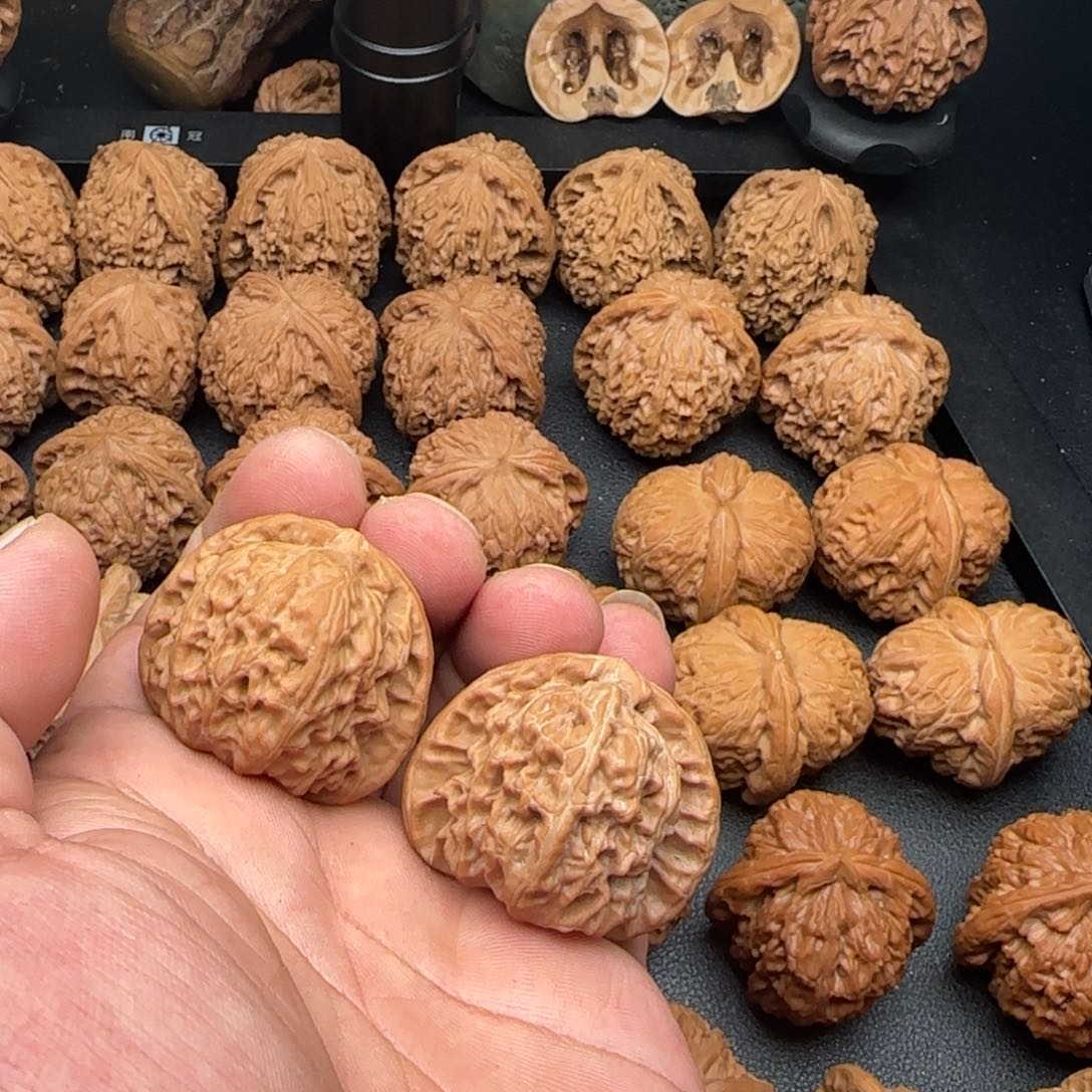 37尺白狮子微黄尖