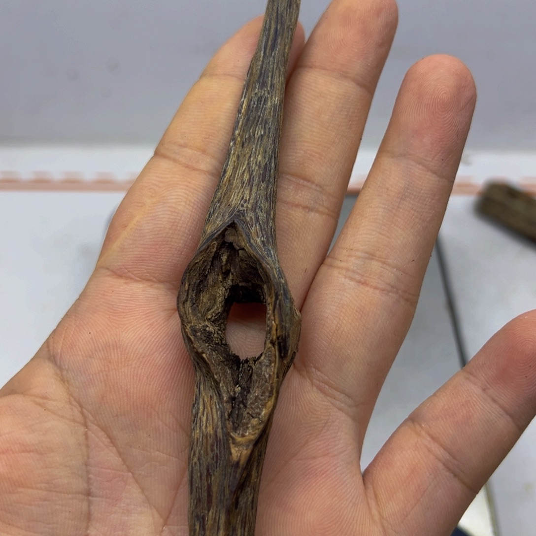 心***千沉香沉香碎屑奇楠沉香白奇原母树一代苗高端虫漏8克