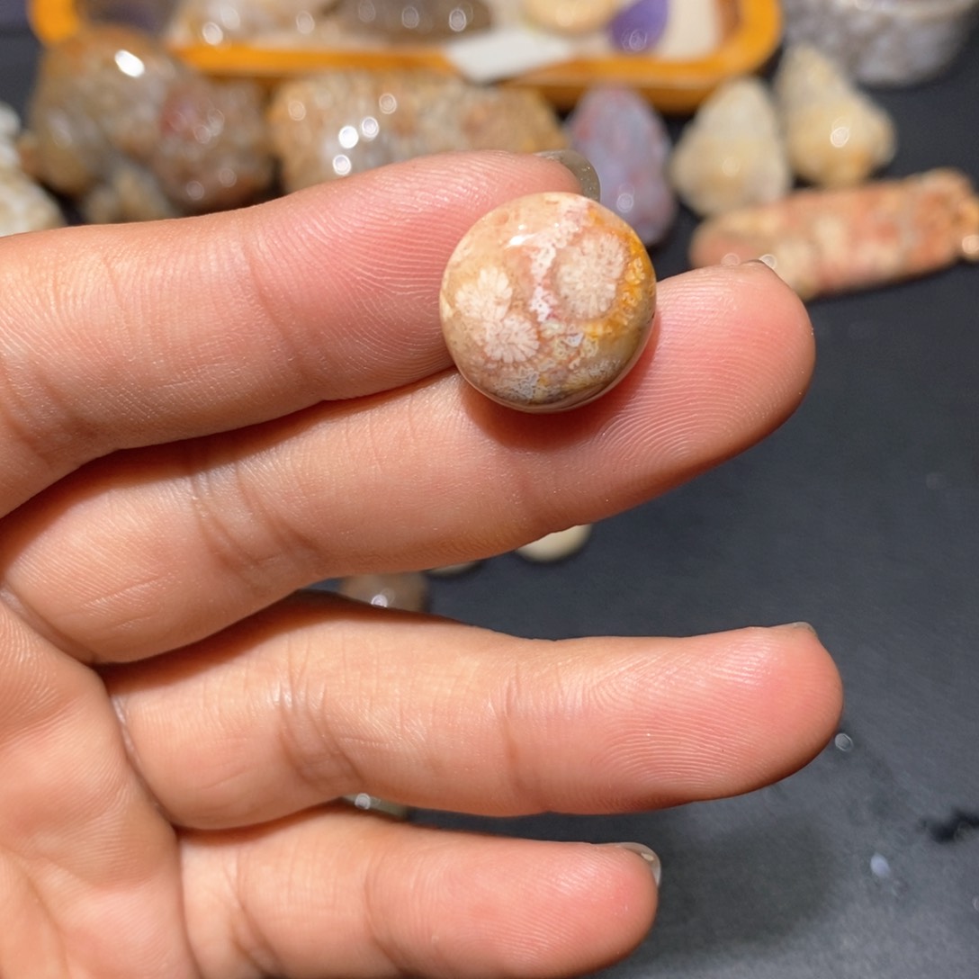 【闪购商品】硅化玉颈饰未镶嵌