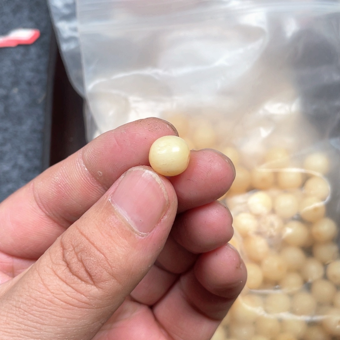 驼骨手串/手链编号95发十个