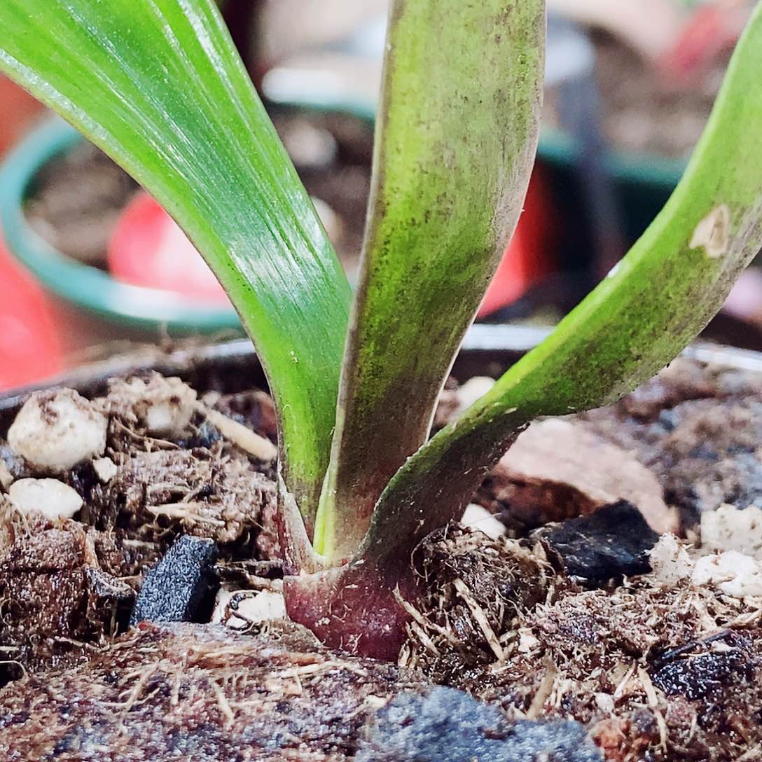 卖***生完全开放健健康康快快乐乐