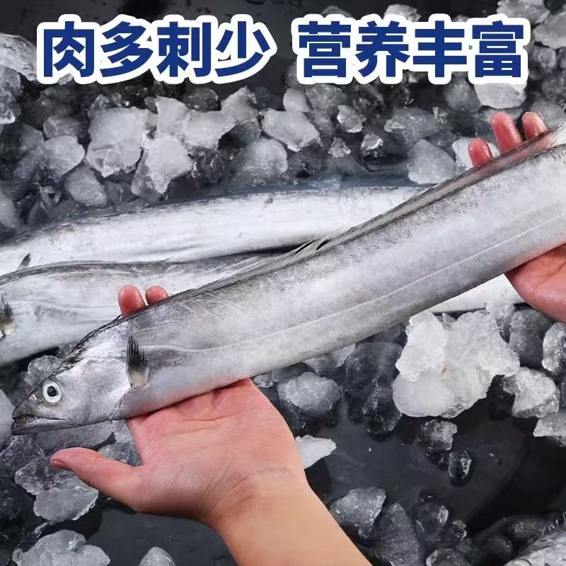 1野生海捕灯光黑眼带鱼/刀鱼 鲜鱼速冻发顺丰 到手8-9条  共5斤