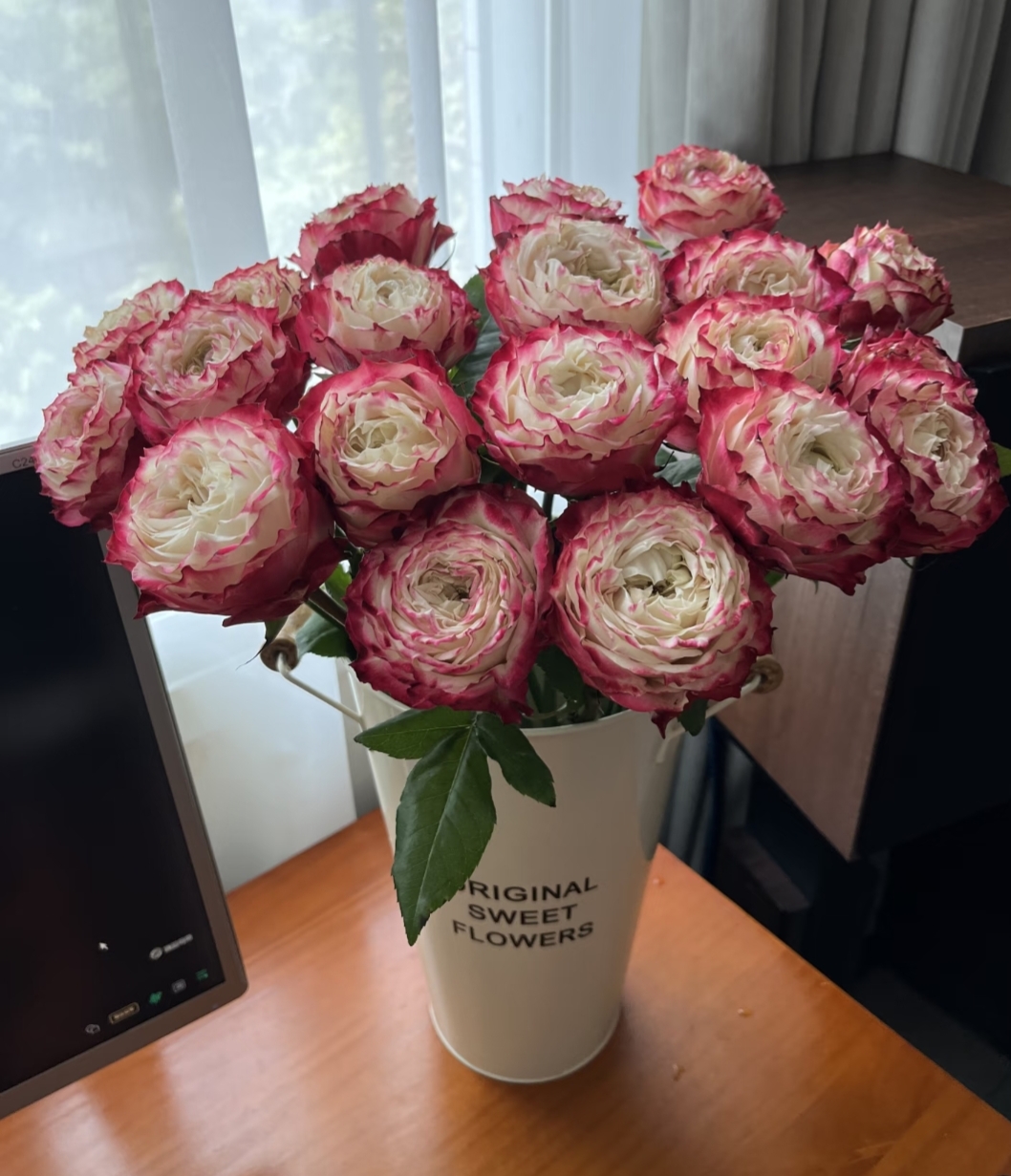 【小阿阮】苹果杰克·A级品质波浪边莲座状花型玫瑰鲜插花 顺丰发货