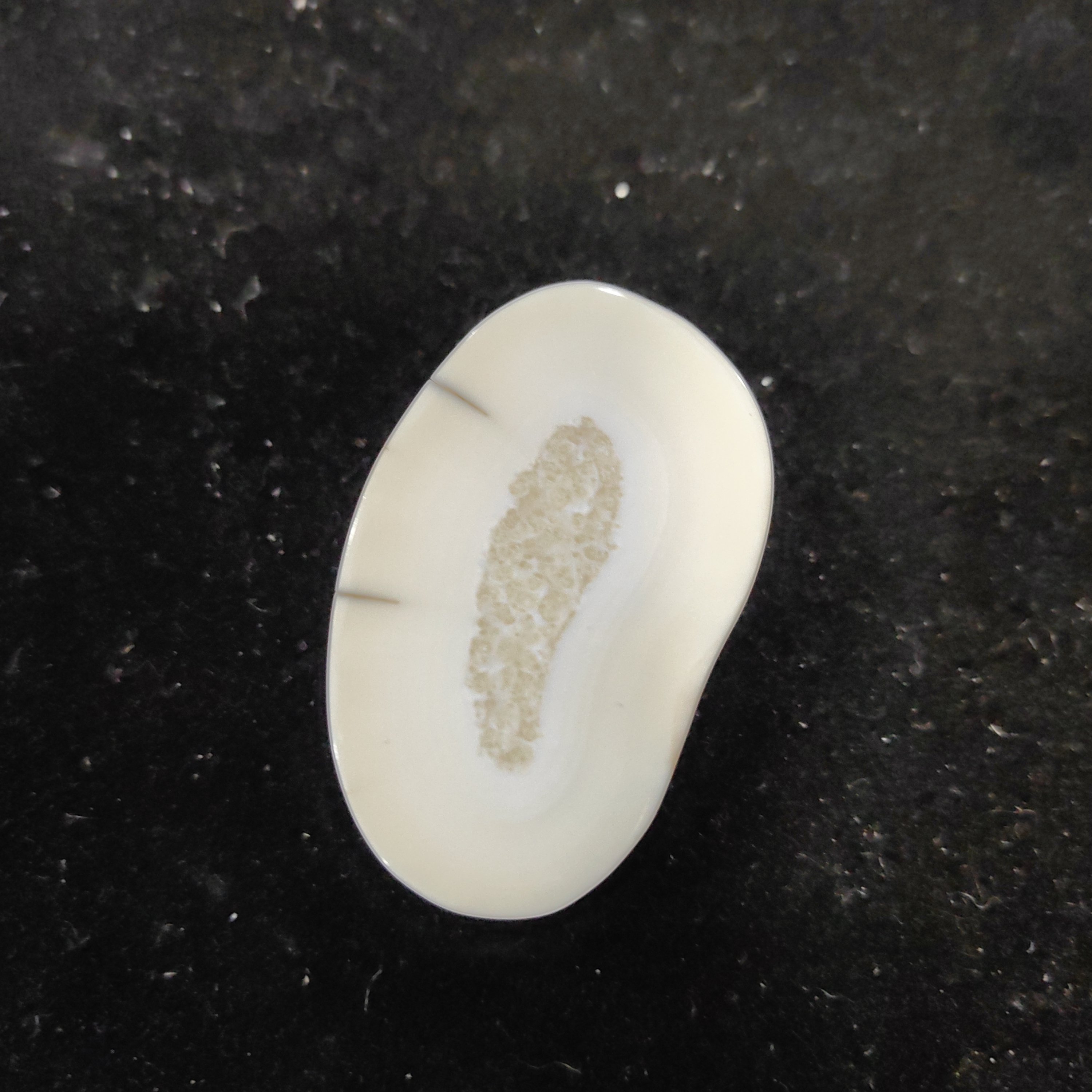 猛犸猛犸虬饼子WT490