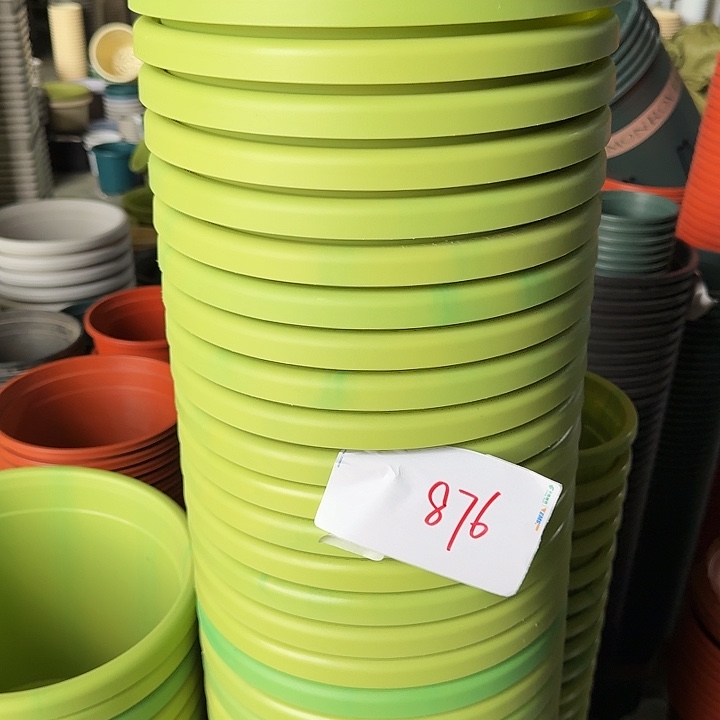 编号876串色6个无托