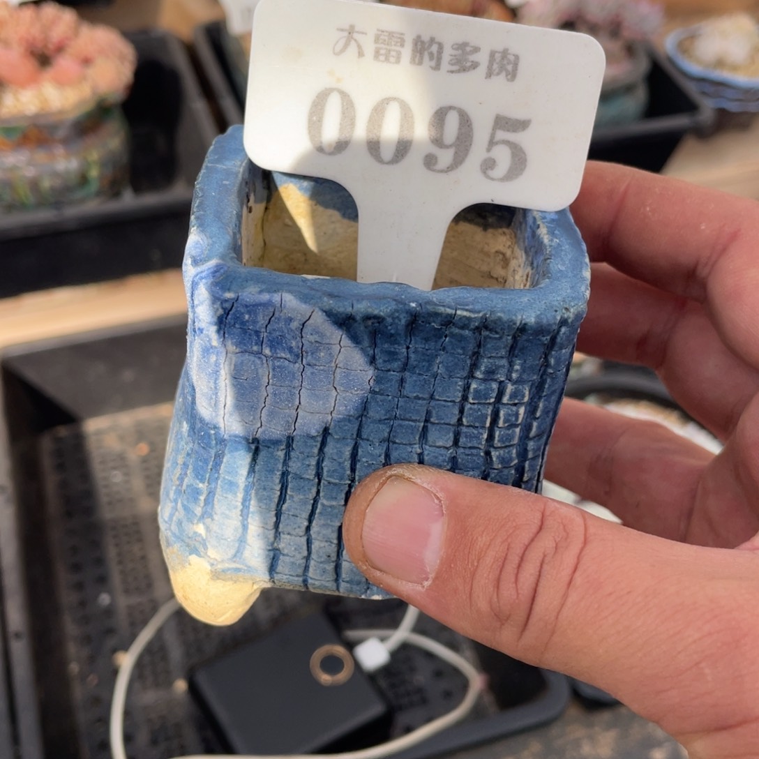 美**美0095盆盆盆盆盆盆盆盆盆