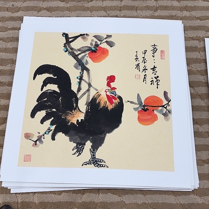 国画花鸟的翅膀和翅膀50.50