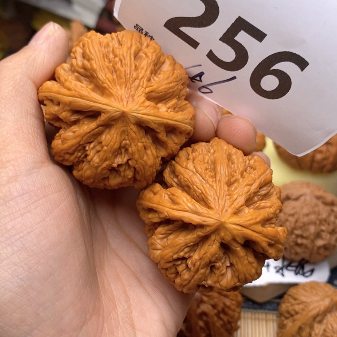 文玩核桃吊坠256号46粗筋