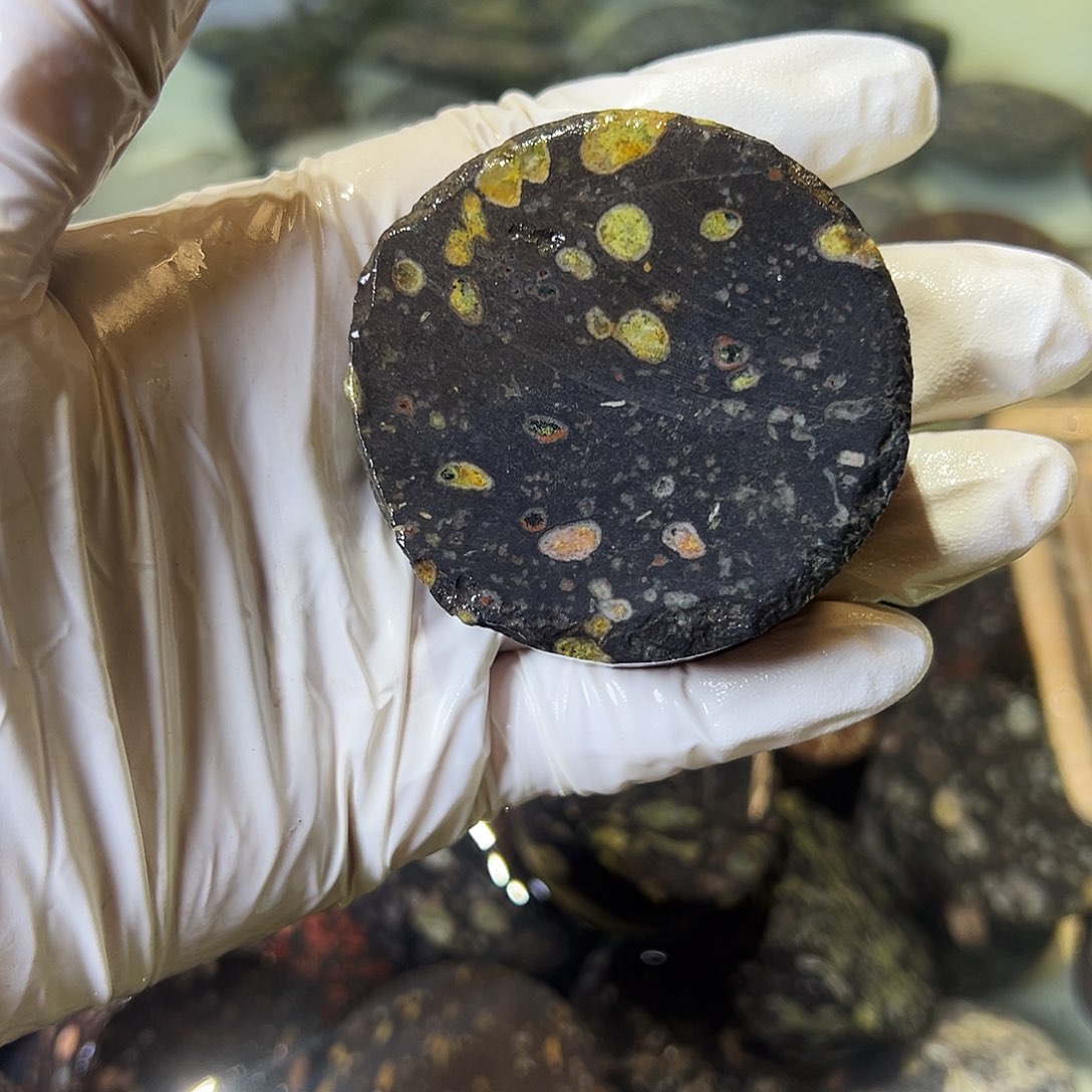 梅花玉鱼缸石茶周边不退不换