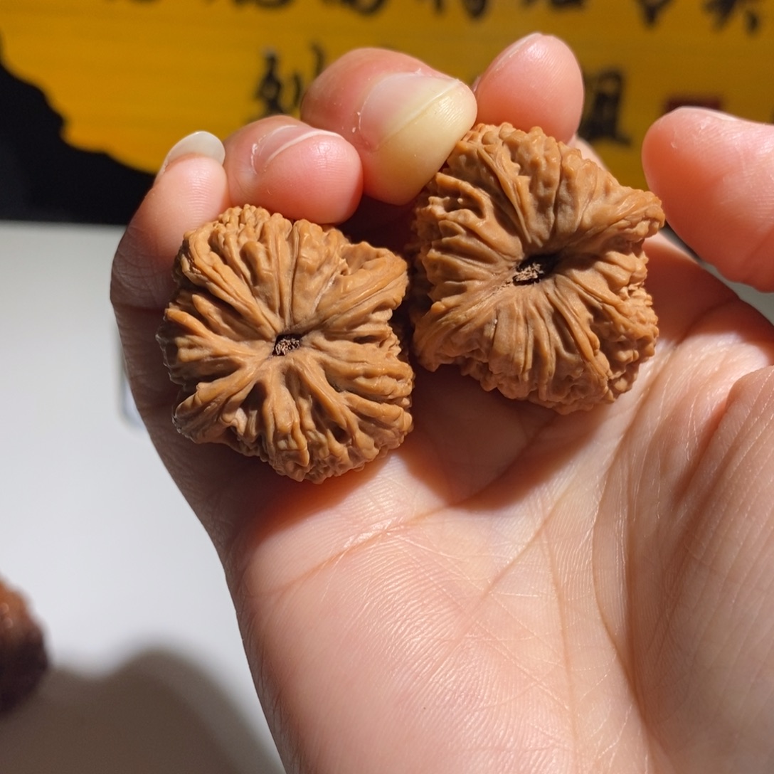 五***）大叶紫檀（黑酸枝木类）