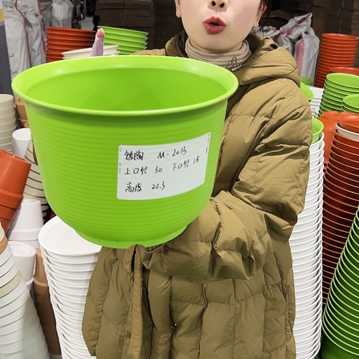 正品矮陶口30高22白色5只无托