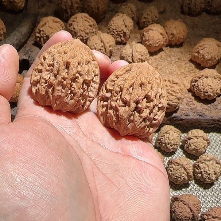 核桃手串/手链用****840全品虎头