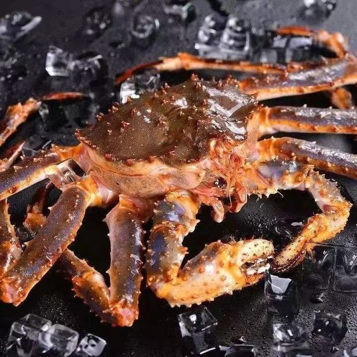 冰鲜帝王蟹 江浙沪皖压冰发货【保鲜不保活】其余省份液氮锁鲜