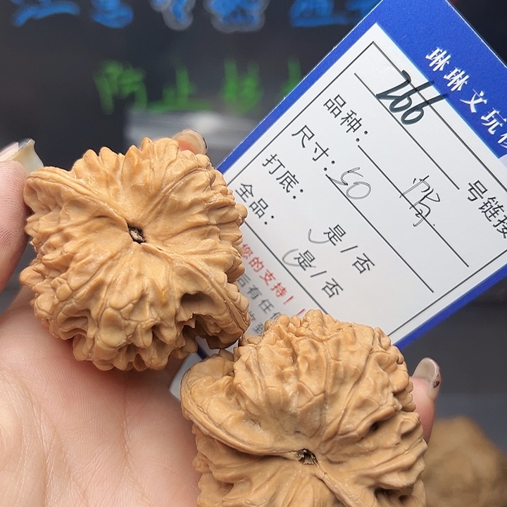 文玩核桃吊坠核桃树等266