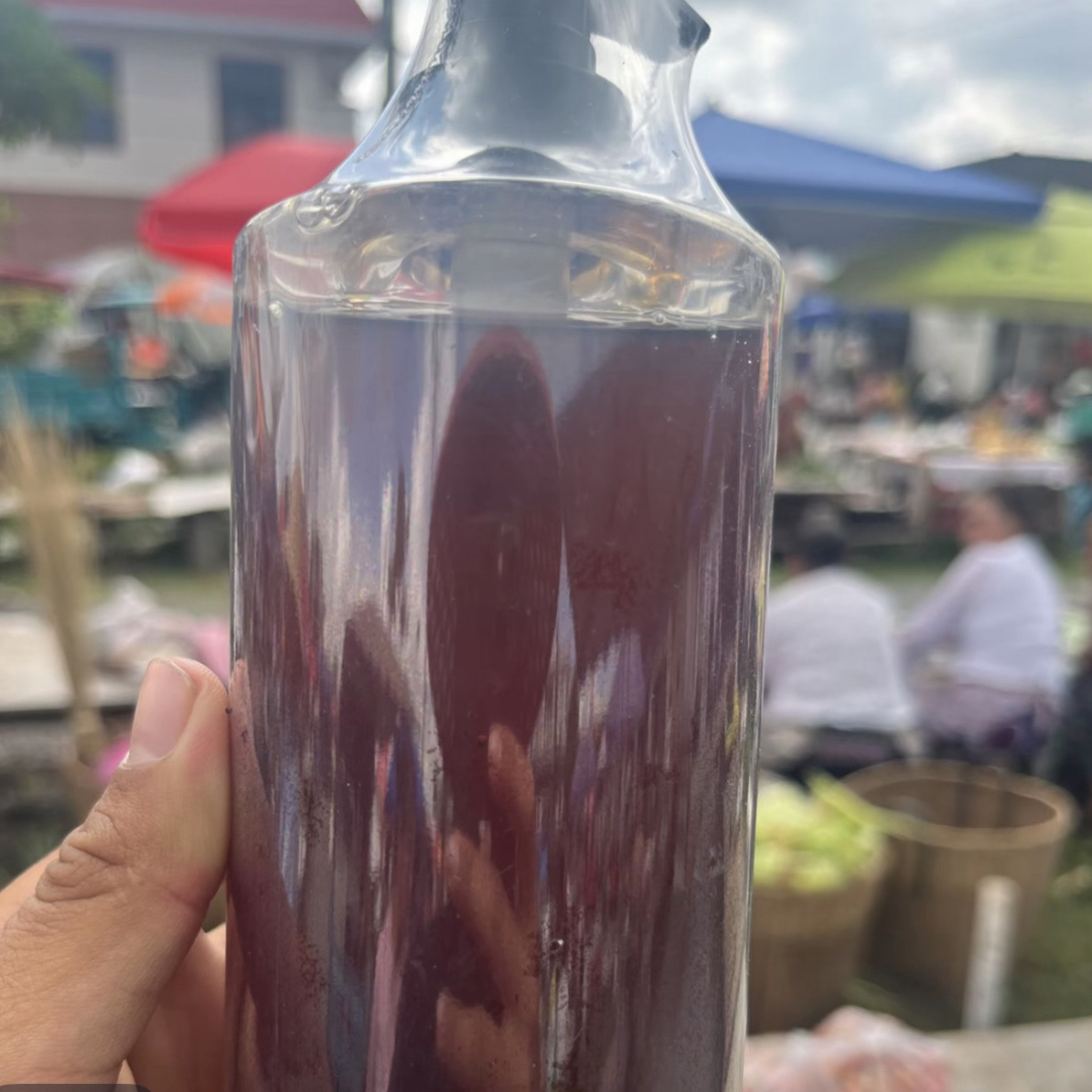 何首乌洗发水 传统工艺山参