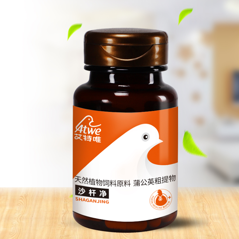 沙杆净 副伤寒大肠杆菌 沙门氏菌特效药