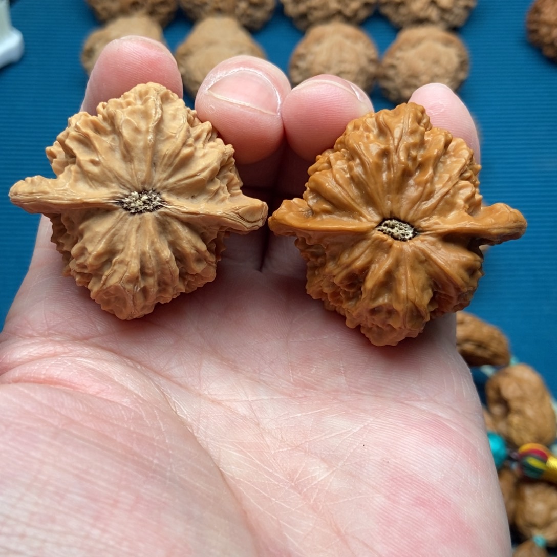 七***把件文玩核桃火焰马蹄