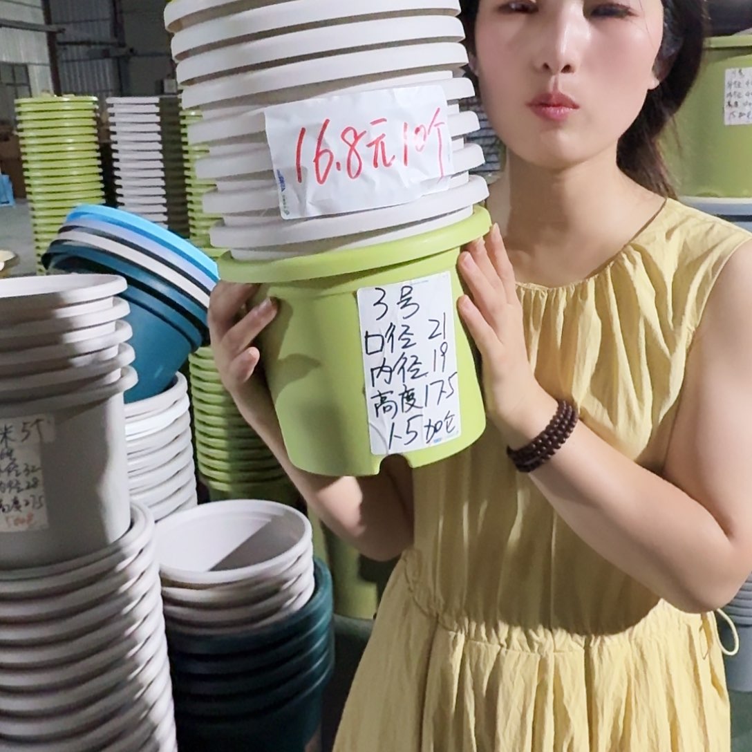 微瑕3#无拖灰白10个