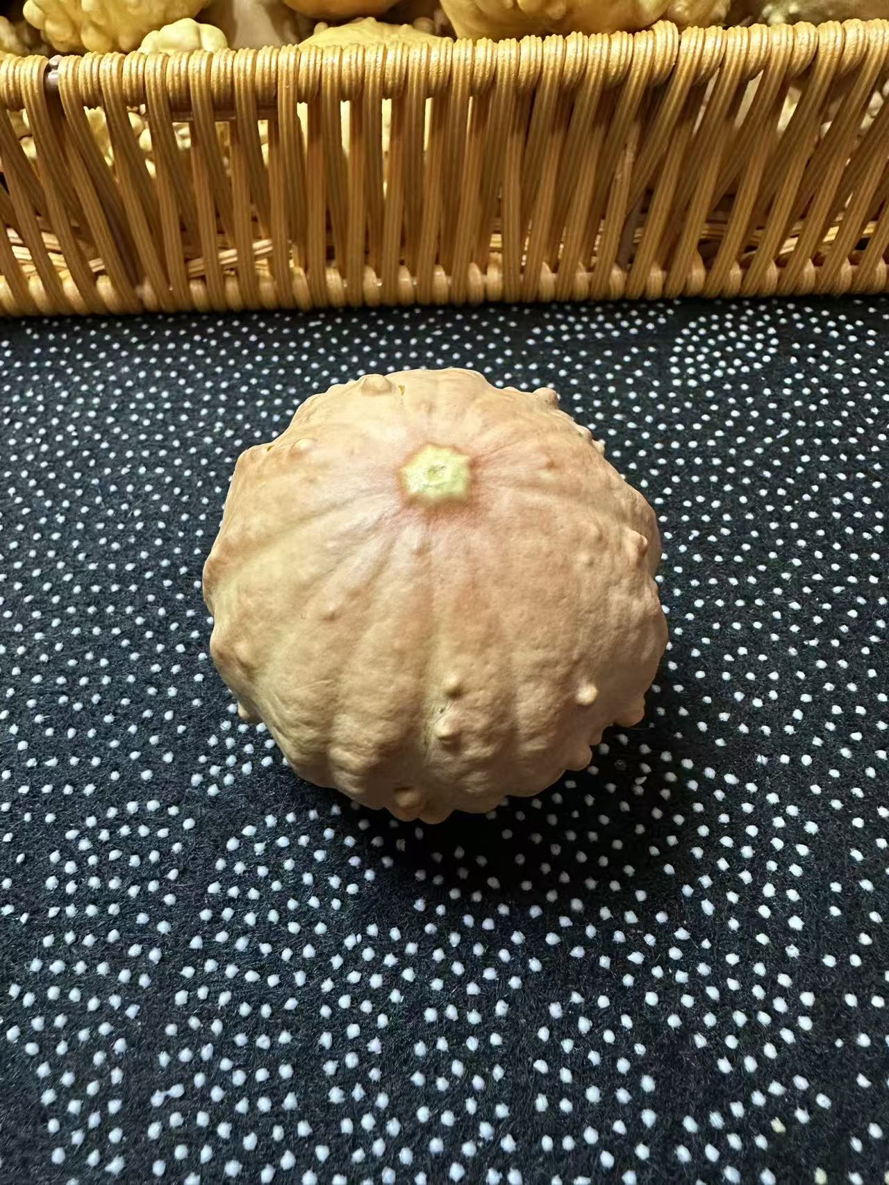 天然奇形异型疙瘩葫芦文玩直播间选购私拍发空包裹