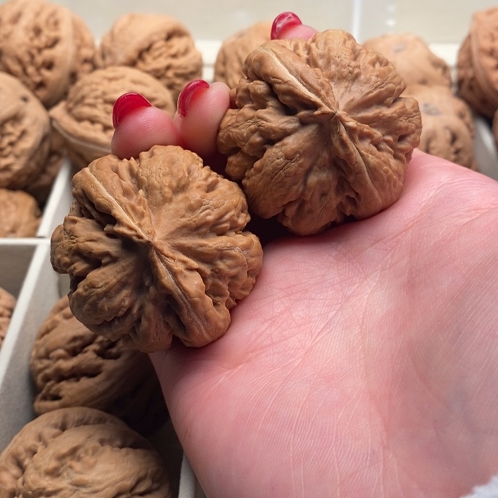 冰***城把件文玩核桃霸王龙