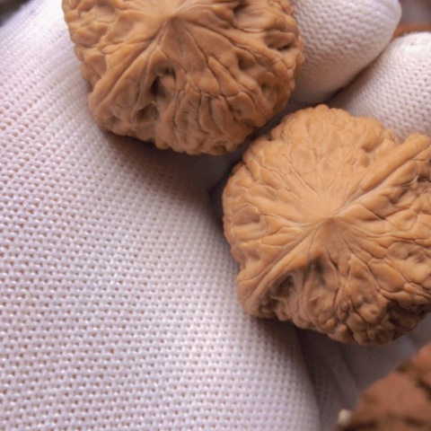 【闪购商品】桃核吊坠未****森铁锤狮子头