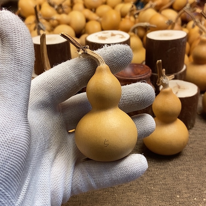 文玩葫芦 完美主义者 慎拍5