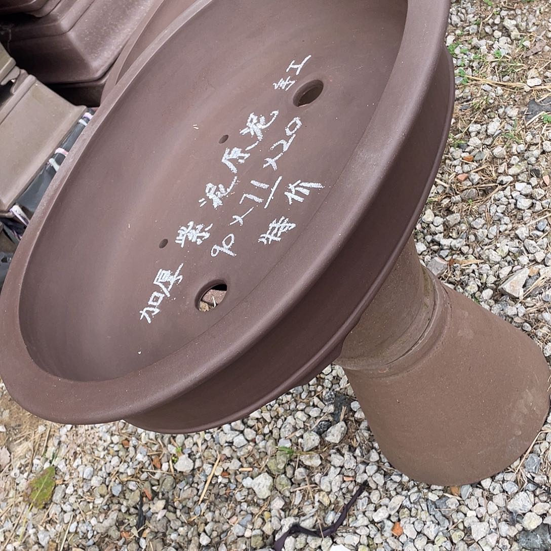 特价处理紫砂一只