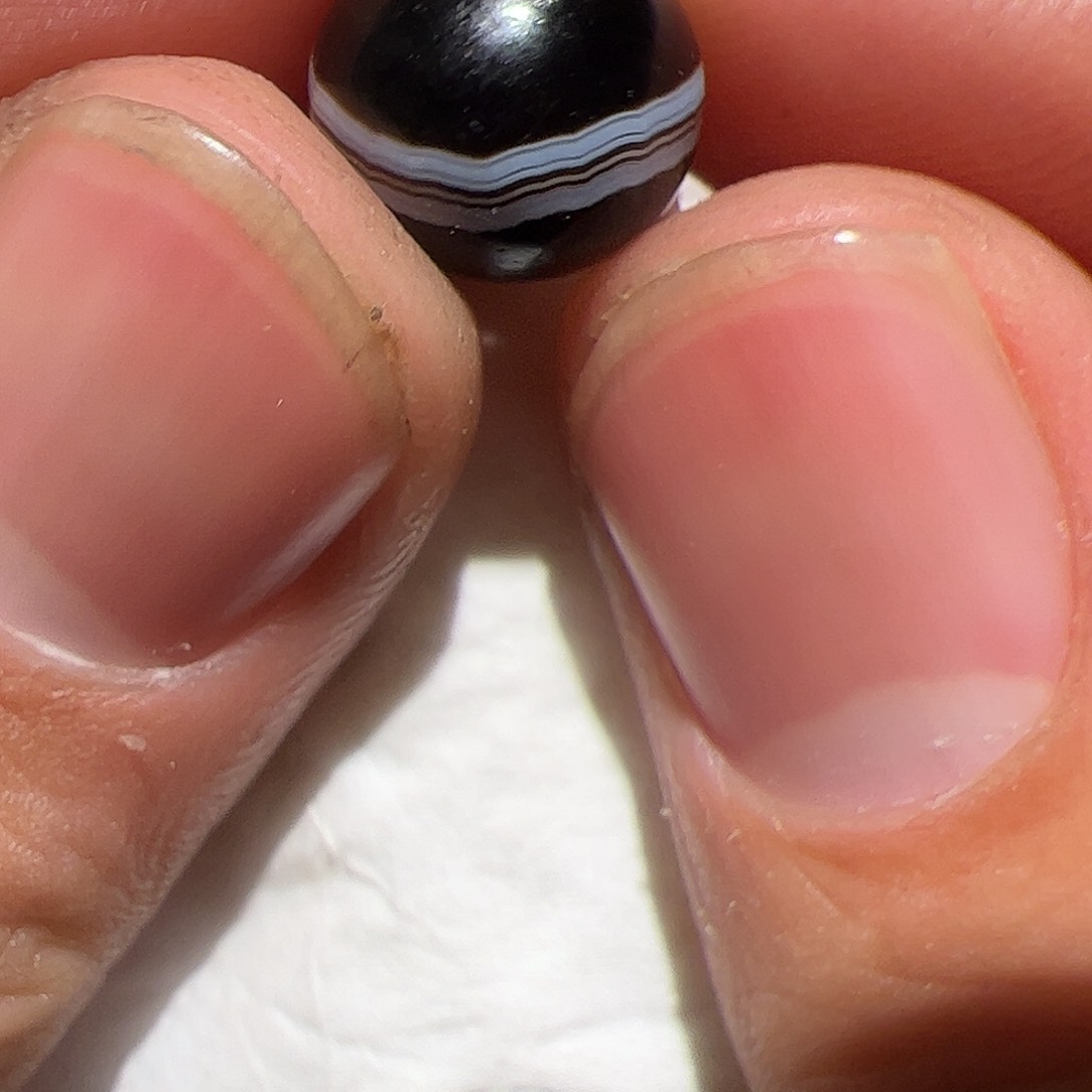 香榧木在家了一个