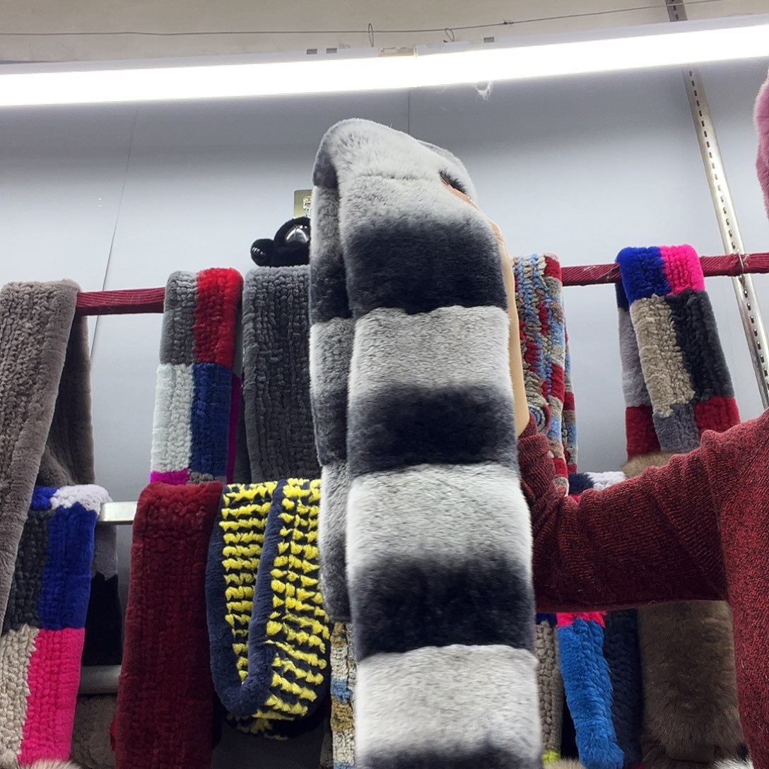 美丽诺羊毛龙猫色獭兔