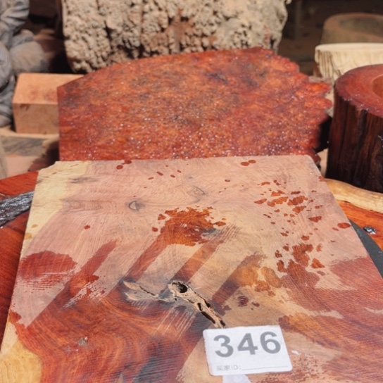 大果紫檀（缅甸花梨）