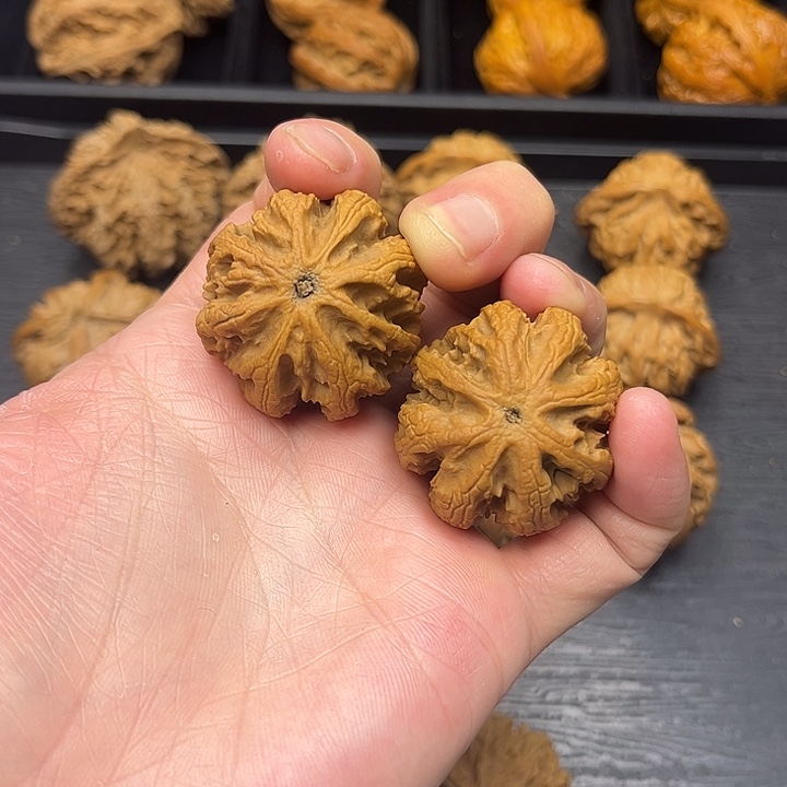 金***田核桃秦岭山脉中段怒江与澜沧江