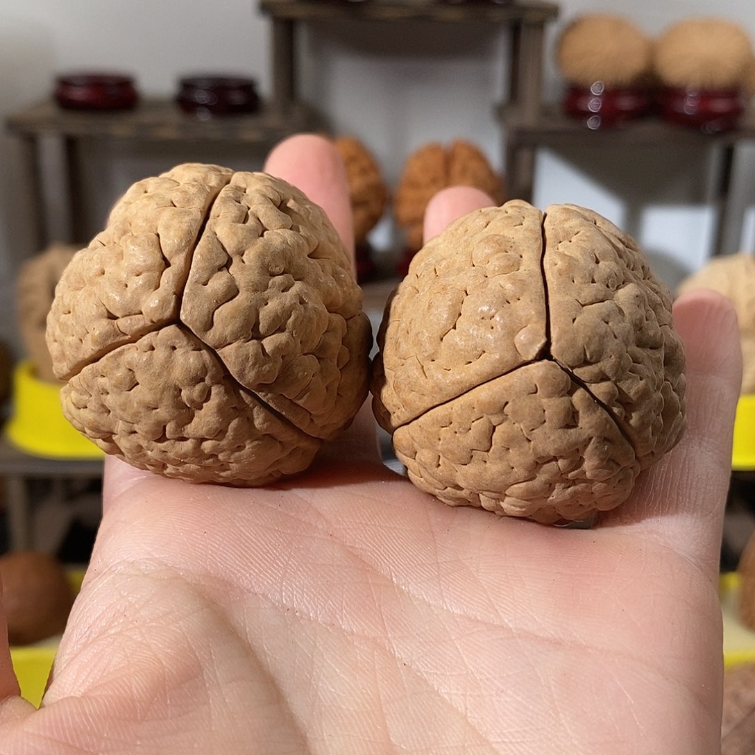 吊坠文玩核桃三瓣脑纹金刚练手微瑕不退不换不接受中差评