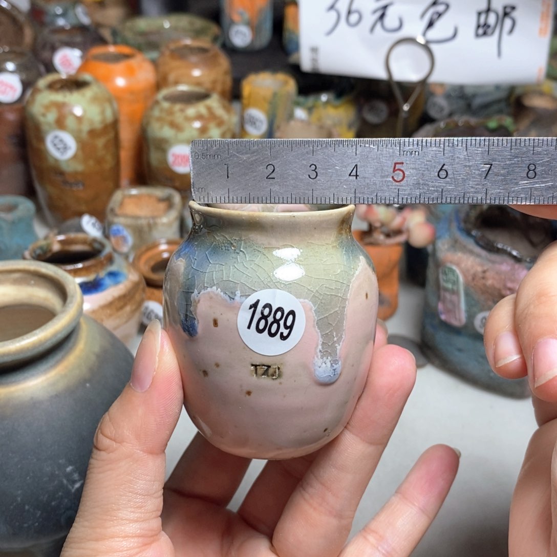 拍5送一个小礼物