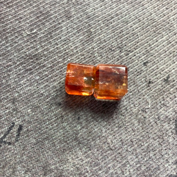 牛血红胶花小方糖 DZ79 多样性发其一