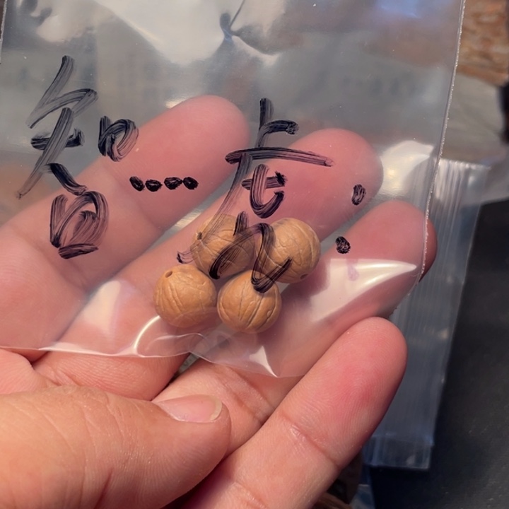 智***虎猴头核桃吊坠猴头备籽