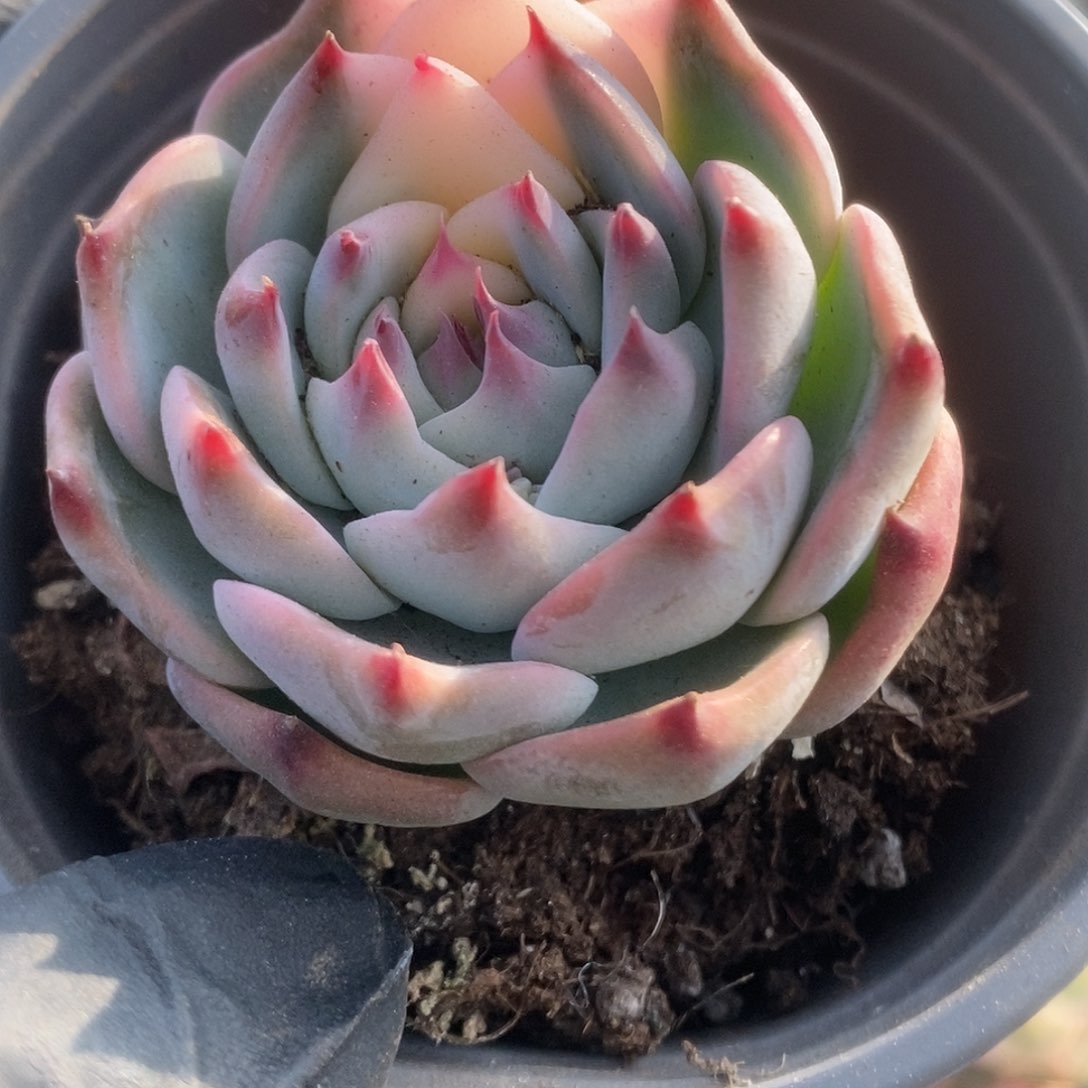 193锦锦锦锦锦锦锦锦锦