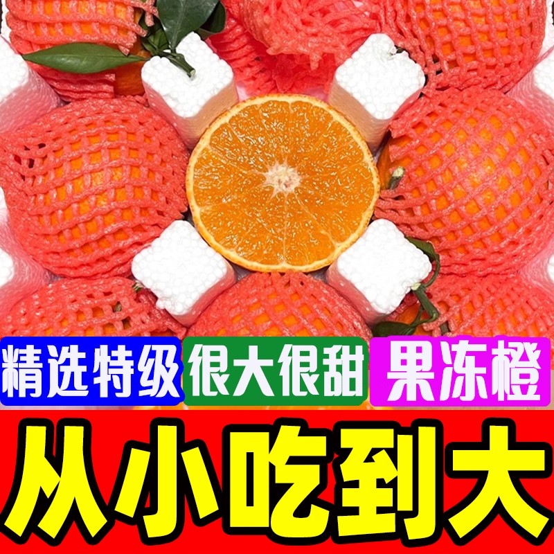 【防冻装 寒冷地区拍】正宗四川爱媛38号果冻橙新鲜水果整箱包邮n