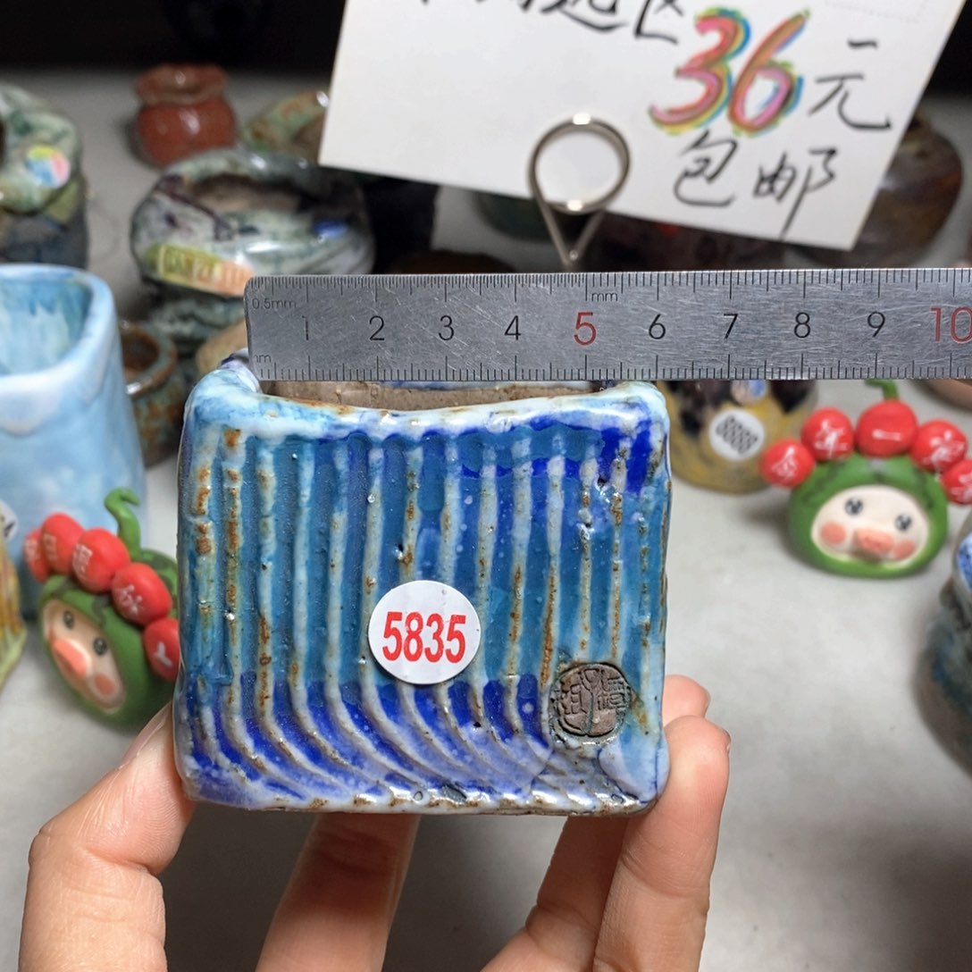 花盆双12特价活动不退不换原价38